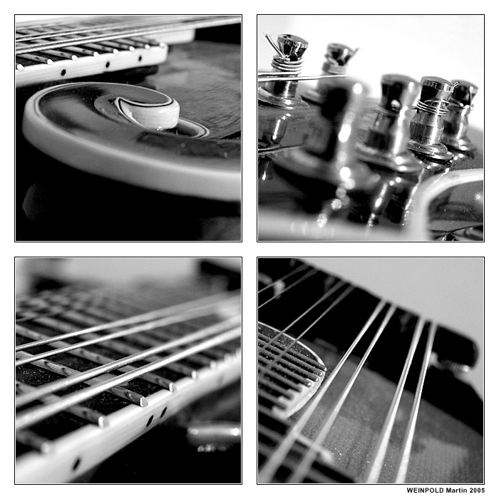 = My mandolin =
