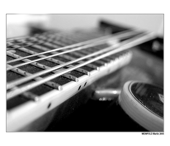 = My mandolin II. =