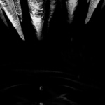 <b><hr>## fuSioN >....<hr><b> aneb tání na Doubravce