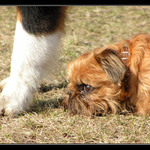 Na velikosti záleží...