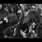 To jsme si letos užli rojeníčka !