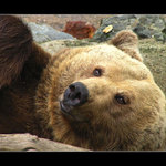 Pane, pojďte si hrát!