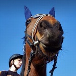 pořádně ty uši našpicuj,ať ten signál chytnem....