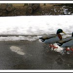 ..Neohlížej se-ten za náma je ňákej divnej..