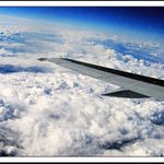 Země je kulatá a roste na ní šlehačka!