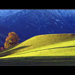 Světlo, linie, barvy