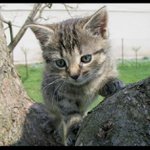 Tak ,už mi je 6 týdnů.