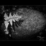 Co se z toho vyklube ?