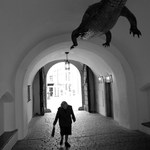 Brněnský Vetřelec