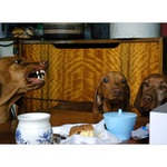 a udelame si poradek...