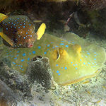 neotravuj - máme siestu