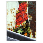 Plavba Sargasovým mořem