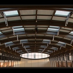 Blízká setkání třetího druhu