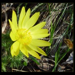 "Hlavně dobře přistát! Pak už bude mňamka."