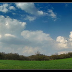 <b>Had poľný-panorama release