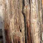 Čas nezastavíš!!!!!