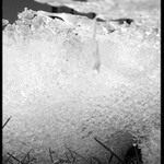 K jaru cesta dlouhá (Apríl na zahradě)