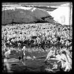 zly sen o ranních mrazech