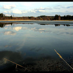 Vlčetínský rybník