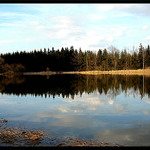 Vlčetínský rybník II