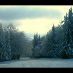 Orličky - opuštěná