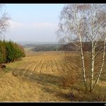 krajina v podbezdězí 2