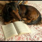 ...jen si něco přečtu.