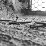 Leta spolu a preci osamoceni