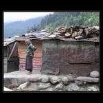 vlnitý plech, nejlepší přítel člověka.....