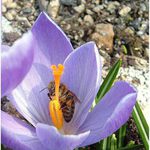 Jarní probouzení k životu