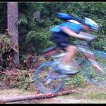 kdo sem strčil tu kládu!!!