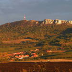 Pálava