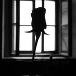 dárek pro mou milou