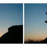 mega jump