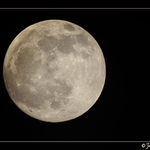 <font color=#000000><b>Luna<br>