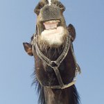 E.T. volá domů :o)