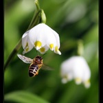 První jarní makačka