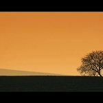 tam kde mlhavá rána jsou..