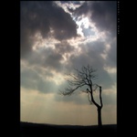 ČEKÁNÍ NA DÉŠŤ