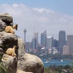 Není nad pořádný výhled II.