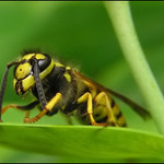 Kosmetické úpravy...