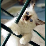 Já jsem Chantal a kdo jste Vy?