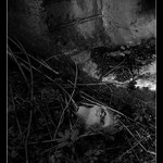 Hlavne nestratiť hlavu!!!