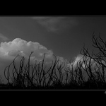 ..:: krajina v zemi nikoho ::..