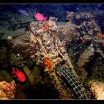 Harley - Davidson ročník 1941