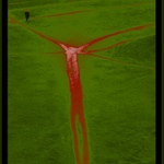 Jižák Quo Vadis Domine