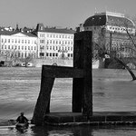 co já dnes na vodě nepotkám?