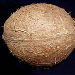 Kokosík - výstup z temna