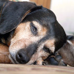 Zasloužený odpočinek