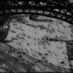 Mraveniste pod Eiffelovkou